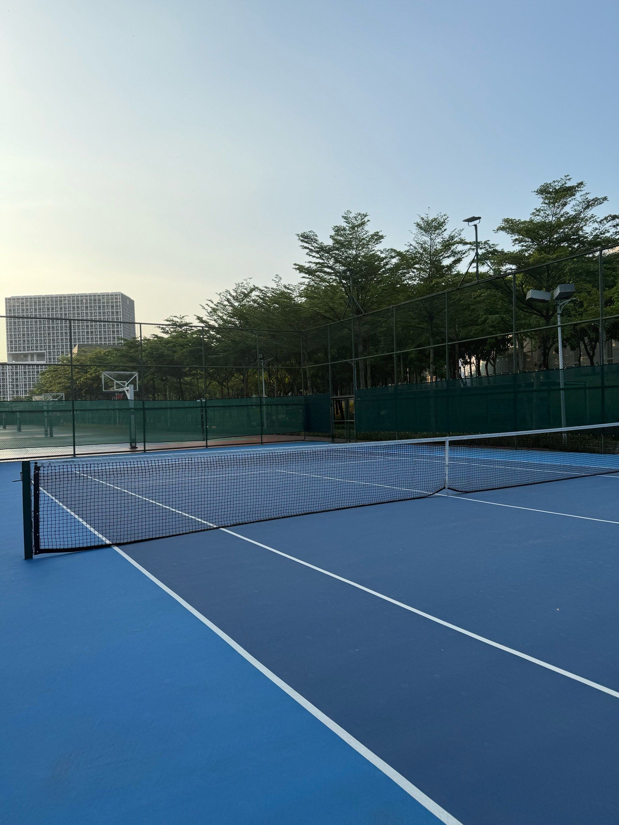 迷的热情 迷的热情