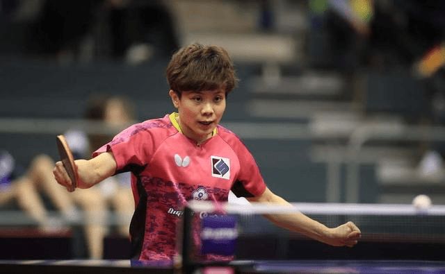 动物朋克 动物朋克